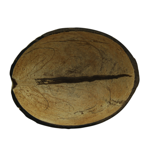 Ciotola in cocco