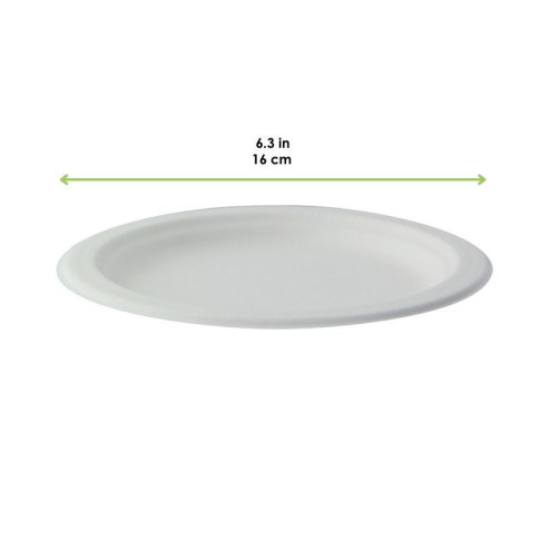 Piatto in polpa di canna da zucchero