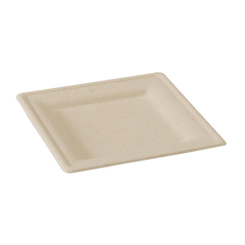 Piatto in polpa di canna da zucchero  200x200mm