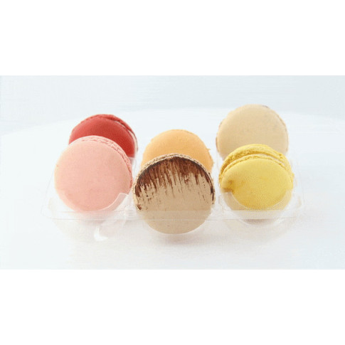 Inserto in PET trasparente per 12 macarons (3x4) con chiusura clip 152x138mm H20mm