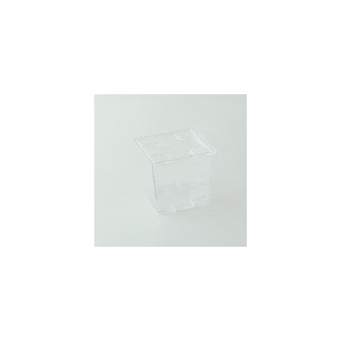 Coperchio in plastica per piattino fingerfood Kara (PS6) 55x55mm H2mm