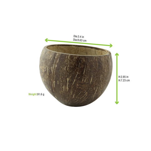 Ciotola in cocco  H80mm 350ml