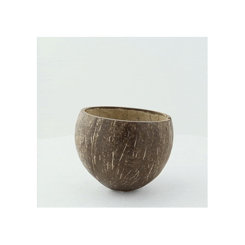 Ciotola in cocco  H80mm 350ml