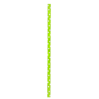 Cannuccia in carta verde lime, decorazione pois   H197mm