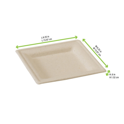 Piatto in polpa di canna da zucchero  160x160mm