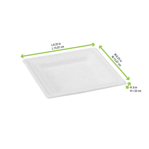 Piatto in polpa di canna da zucchero  160x160mm