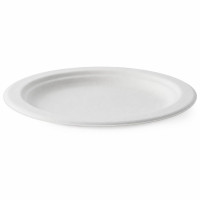 Piatto in polpa di canna da zucchero