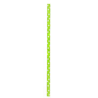 Cannuccia in carta verde lime, decorazione pois   H197mm