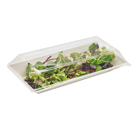 Piatto "EcoDesign" in polpa di canna da zucchero  260x130mm H28mm 500ml