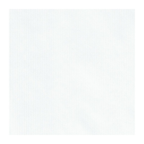 Carta da cottura bianca siliconata double face 600x400mm