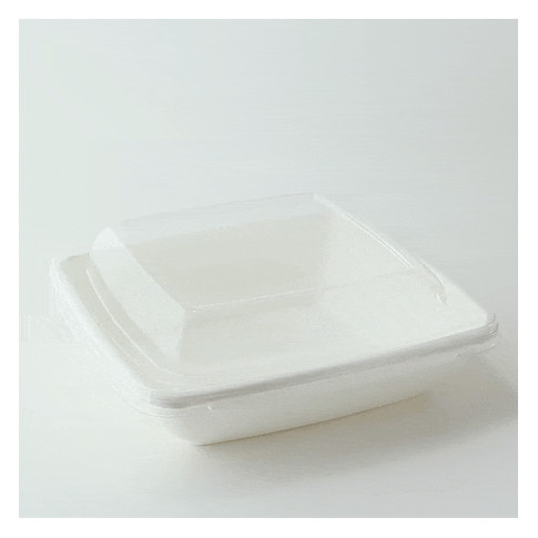Insalatiera quadrata in polpa di canna da zucchero 195x195mm H45mm 750ml