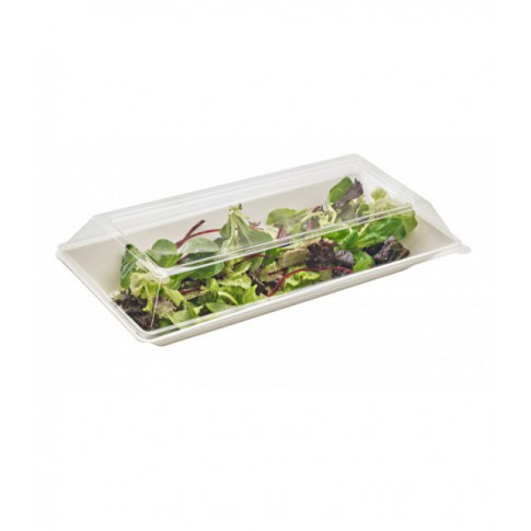 Piatto "EcoDesign" in polpa di canna da zucchero  260x130mm H28mm 500ml