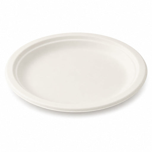 Piatto ovale bianco in polpa di cellulosa - 26 cm x 19,5 cm - 500 unità