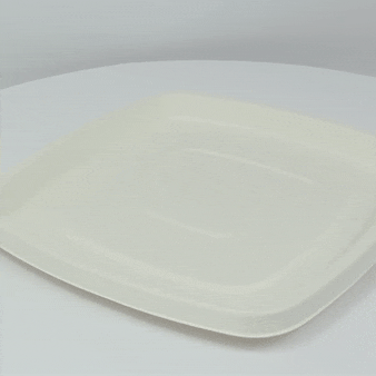 Piatto catering quadrato bianco in polpa di cellulosa - 30,4 cm x 30,4 cm x 2,5 cm - 24 unità