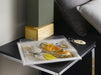 Coperchio piatto in PET trasparente - 38 cm x 28 cm x 4 cm - 50 unità