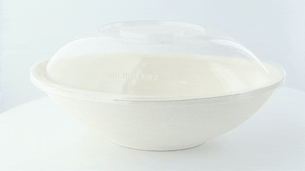 Coperchio in PET trasparente "BioNChic" - 24 cm x 15 cm x 4,3 cm - Compatibile con 210BCHIC1000, 210BCHIC1000BR, 210BCHIC1000BRF - 250 unità