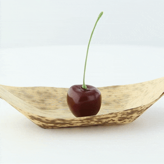 Barchetta in foglia di bambù "Zebra" - 12 cm x 6 cm x 1,5 cm - 1000 unità