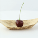 Barchetta in foglia di bambù "Zebra" - 12 cm x 6 cm x 1,5 cm - 1000 unità