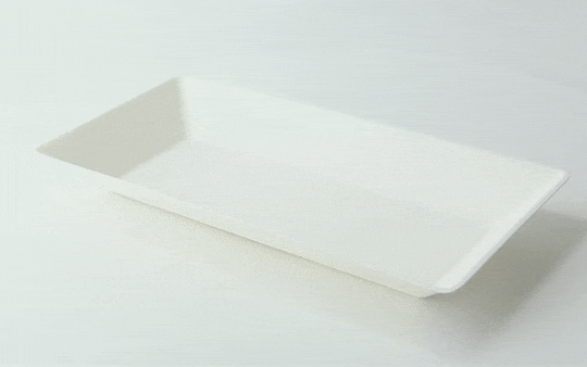 Piatto rettangolare bianco in polpa di cellulosa "Eco-Design" - 500 ml - 26 cm x 13 cm - 500 unità