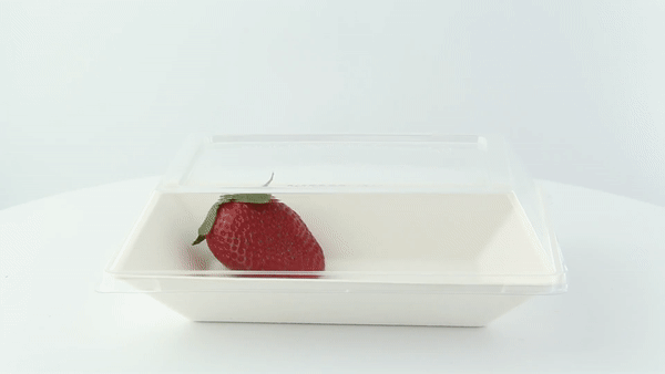 Coperchio in PET trasparente - 18 cm x 13,3 cm x 3 cm - Compatibile con 210ECOD1712, 210ECOD1712F - 100 unità