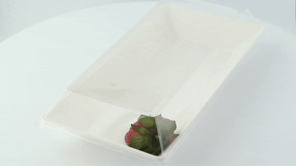 Coperchio in PET trasparente - 26,2 cm x 13,2 cm x 3,3 cm - Compatibile con 210ECOD2614, 210ECOD2614F - 100 unità