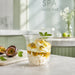 Coppetta da dessert in plastica PET - 270 ml - Ø 9,5 cm - H 6,5 cm - 1000 unità