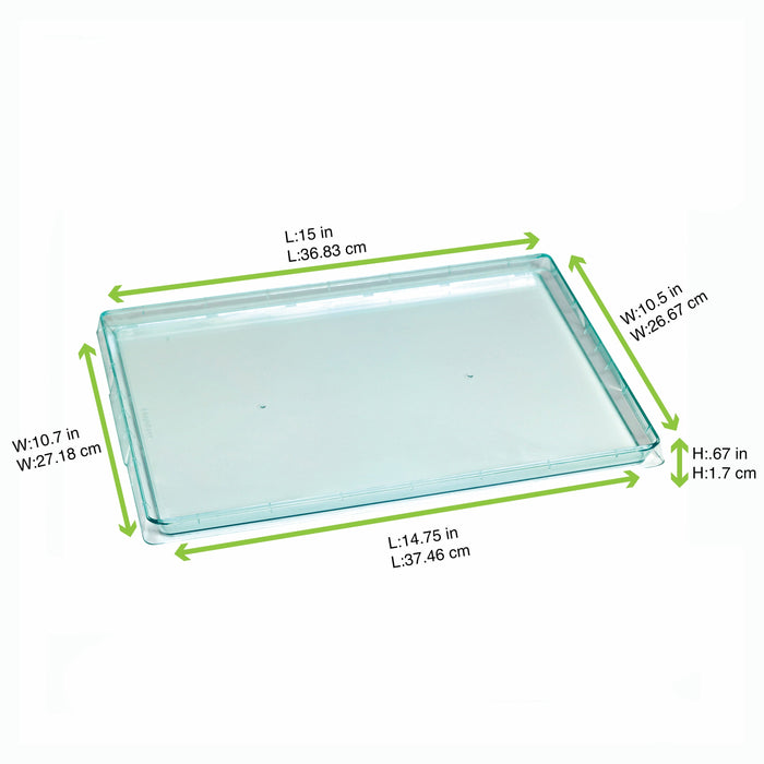 Vassoio in plastica PS verde trasparente "Klarity" - 38 cm x 27,4 cm x 1,8 cm - 50 unità - dimensions