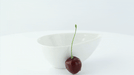 Mini piatto ovale in porcellana bianca - 11 cm x 7 cm x 4 cm - 24 unità