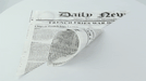 Cono in carta antigrasso con decoro Giornale - 660 ml - 31 cm x 22 cm x 22 cm - 5000 unità