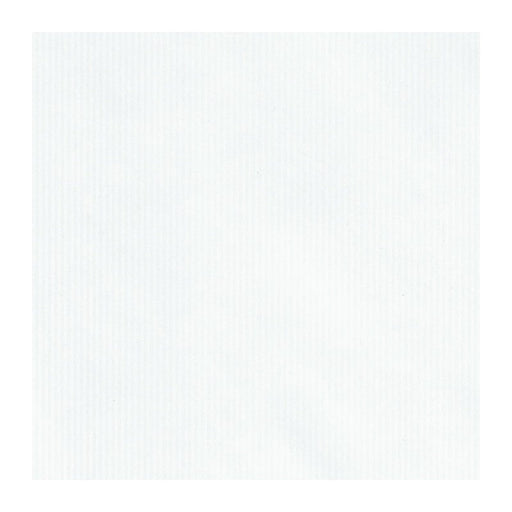 Carta da forno bianca siliconata su due lati - 60 cm x 40 cm - 500 unità