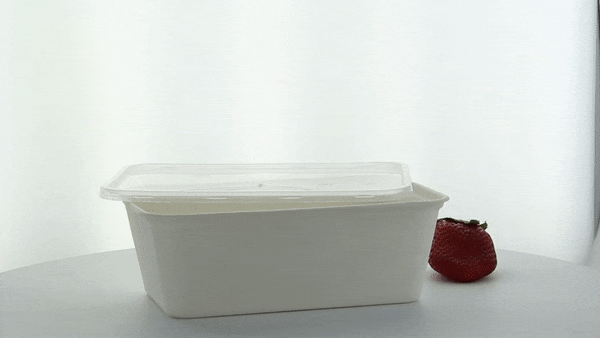 Coperchio rettangolare in PP trasparente - 17,3 cm x 12 cm - Compatibile con 210APUREC500, 210APUREC750 - 250 unità