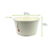 Contenitore in cartone bianco per caldo e freddo senza plastica - 350 ml - Ø 11,5 cm - H 6,4 cm - 500 unità - dimensions