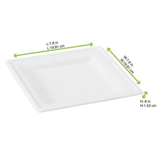Piatto quadrato bianco in polpa di cellulosa - 20 cm x 20 cm - 576 unità - dimensions