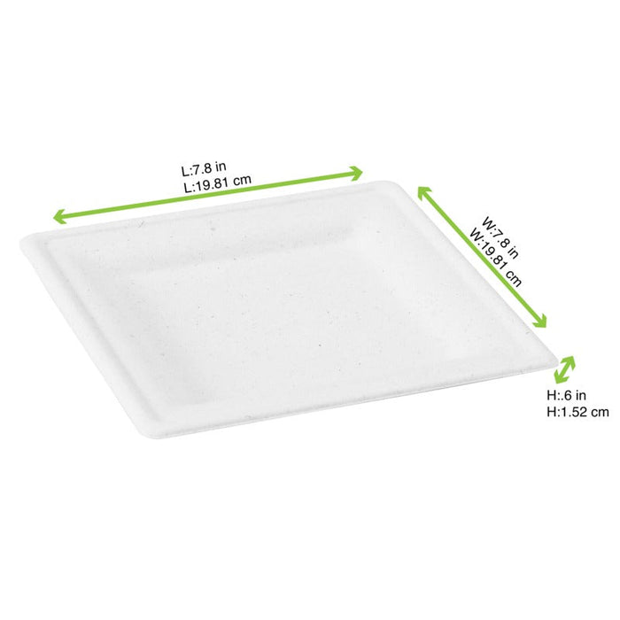 Piatto quadrato bianco in polpa di cellulosa - 20 cm x 20 cm - 576 unità - dimensions
