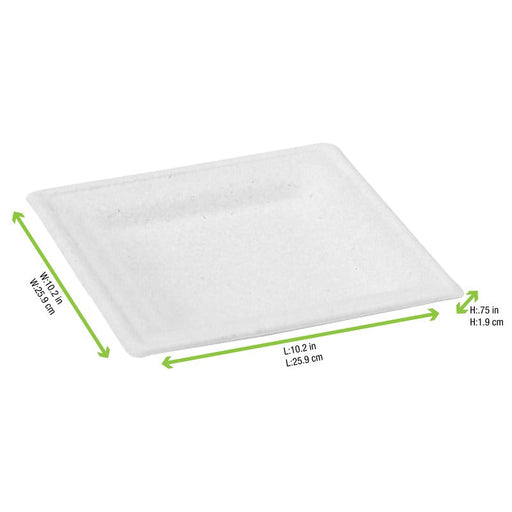 Piatto quadrato bianco in polpa di cellulosa - 26 cm x 26 cm - 180 unità - dimensions